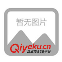 瑞斯樂別墅安全進(jìn)戶門、法國(guó)凡爾賽宮式(Ⅰ型)